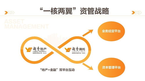 商業(yè)綜合體管理服務(wù) 構(gòu)建高效運(yùn)營與卓越體驗(yàn)的橋梁